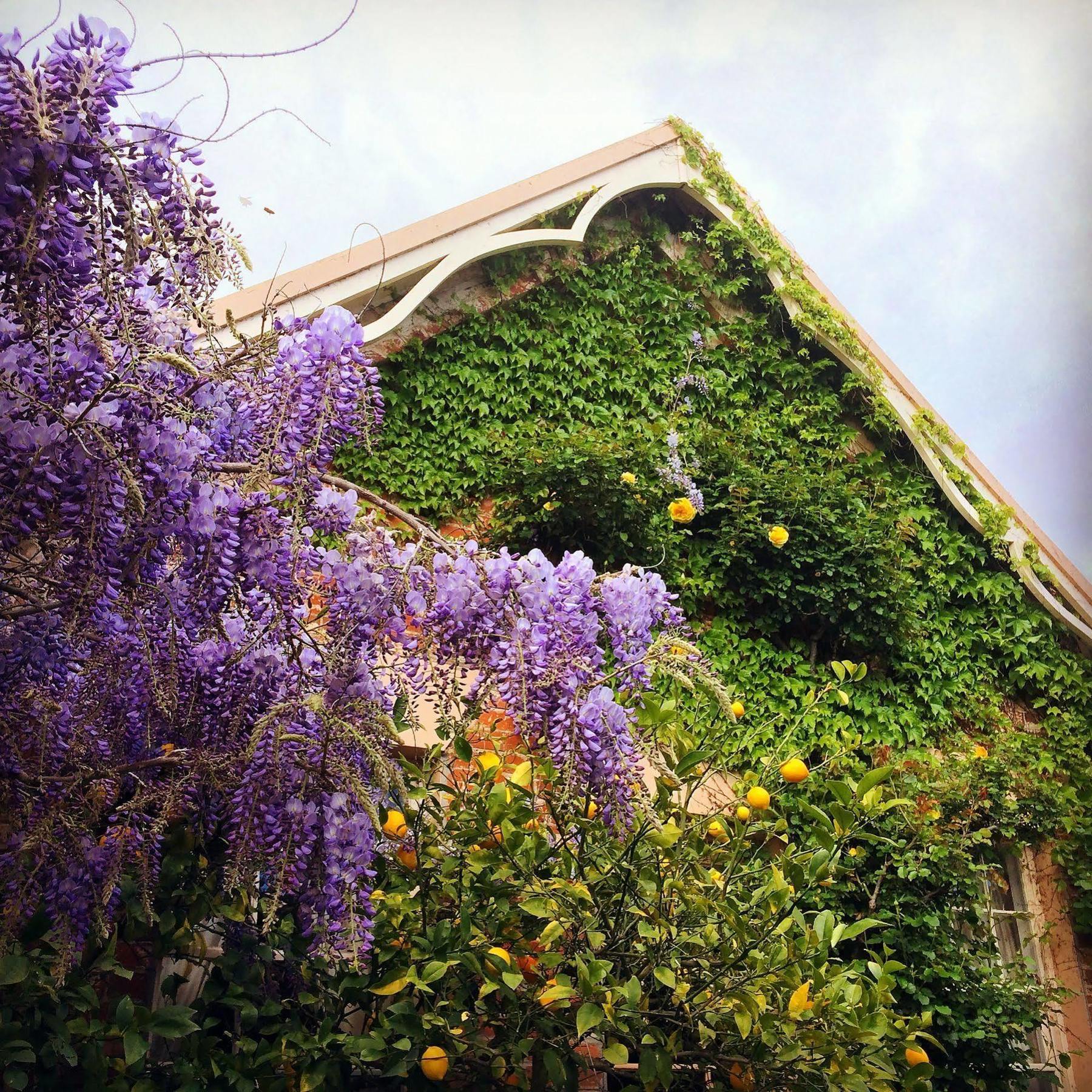 The Racecourse Inn Longford Экстерьер фото